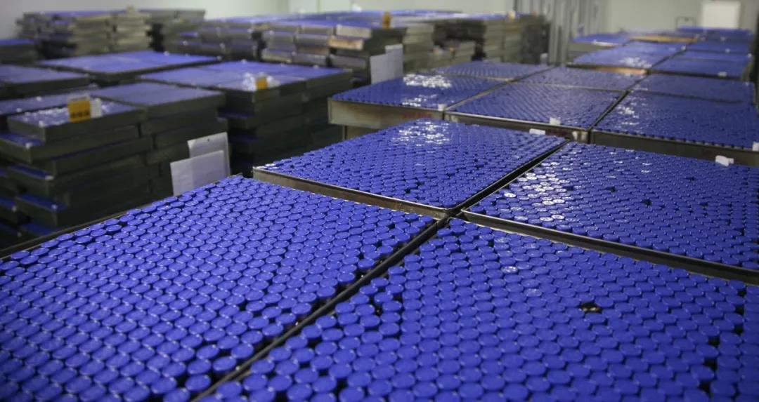 350vip8888新葡的京集团助力，打赢疫情防控阻击战