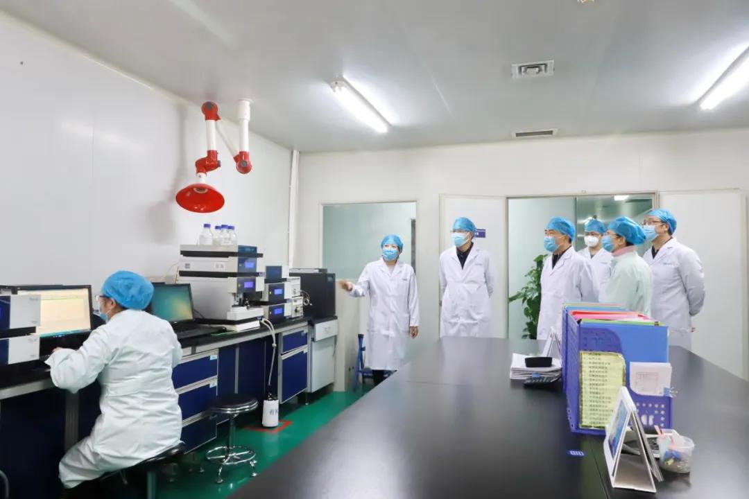 省委统战部副部长沈涛一行莅临350vip8888新葡的京集团股份考察调研