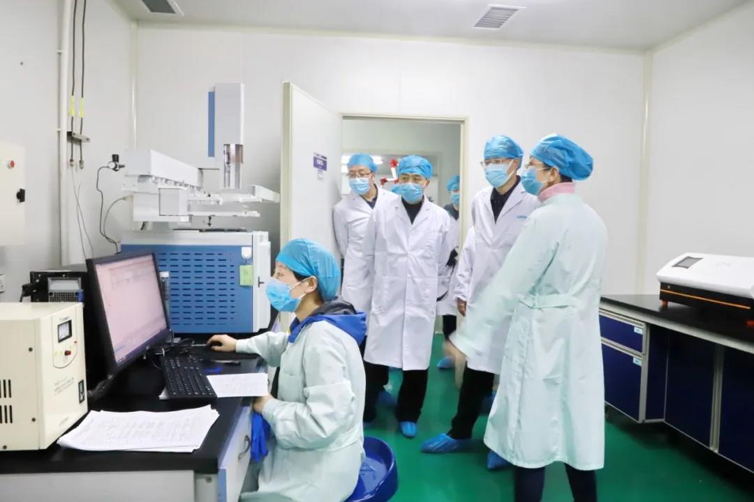 省委统战部副部长沈涛一行莅临350vip8888新葡的京集团股份考察调研