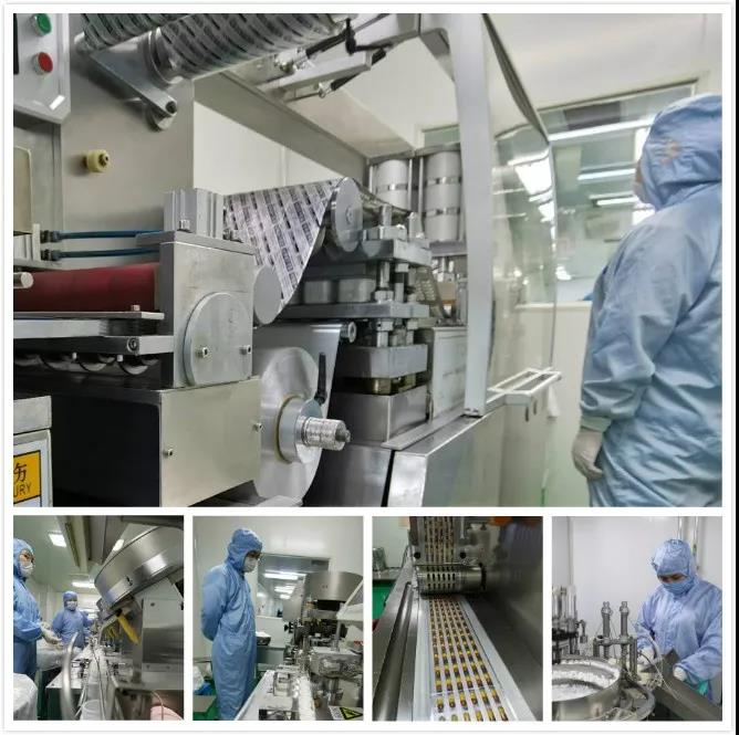 350vip8888新葡的京集团股份 | 复工复产 全力打赢2020疫后经营战