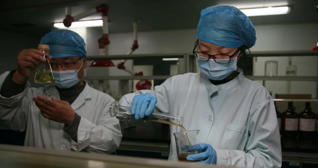 350vip8888新葡的京集团股份 | 复工复产 全力打赢2020疫后经营战