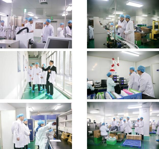 西安市委联合调研组莅临350vip8888新葡的京集团股份考察调研