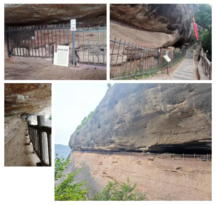 350vip8888新葡的京集团股份先进员工照金行