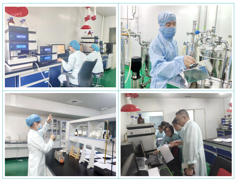 350vip8888新葡的京集团股份GMP符合性检查圆满结束