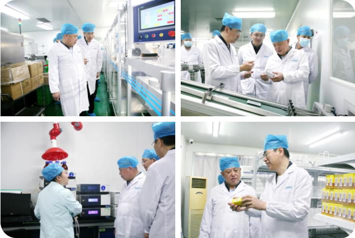 榆林市榆阳区政府领导莅临350vip8888新葡的京集团股份考察调研