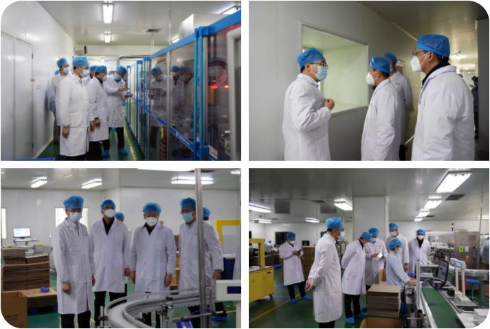 榆林市榆阳区政府领导莅临350vip8888新葡的京集团股份考察调研