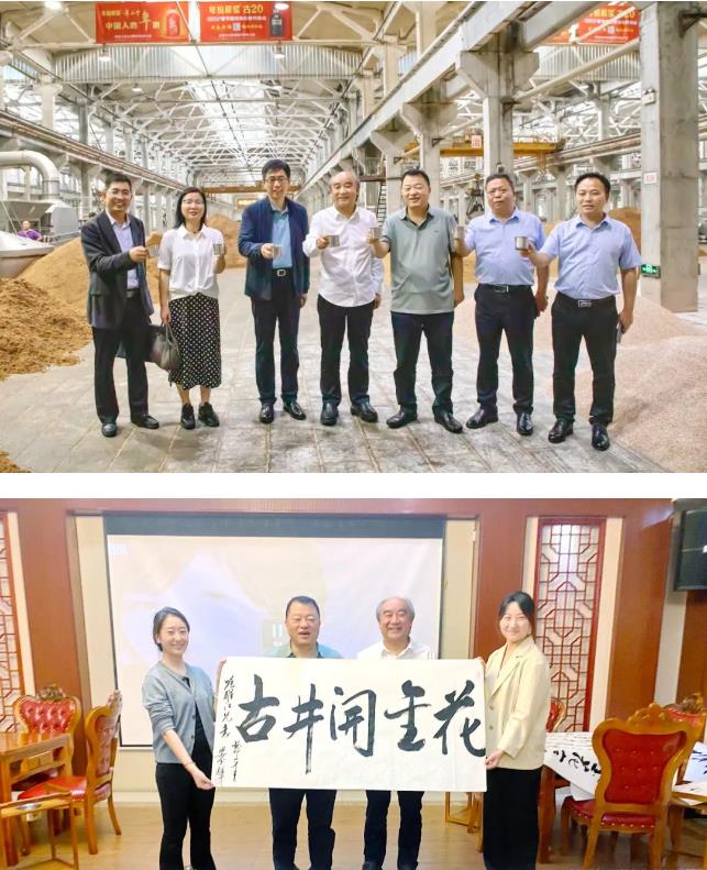 350vip8888新葡的京集团股份董事长邢雅江一行赴古井贡酒集团考察交流、洽谈合作