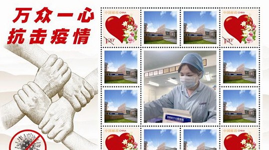 疫情防控彰显企业责任 350vip8888新葡的京集团股份荣获多项殊荣