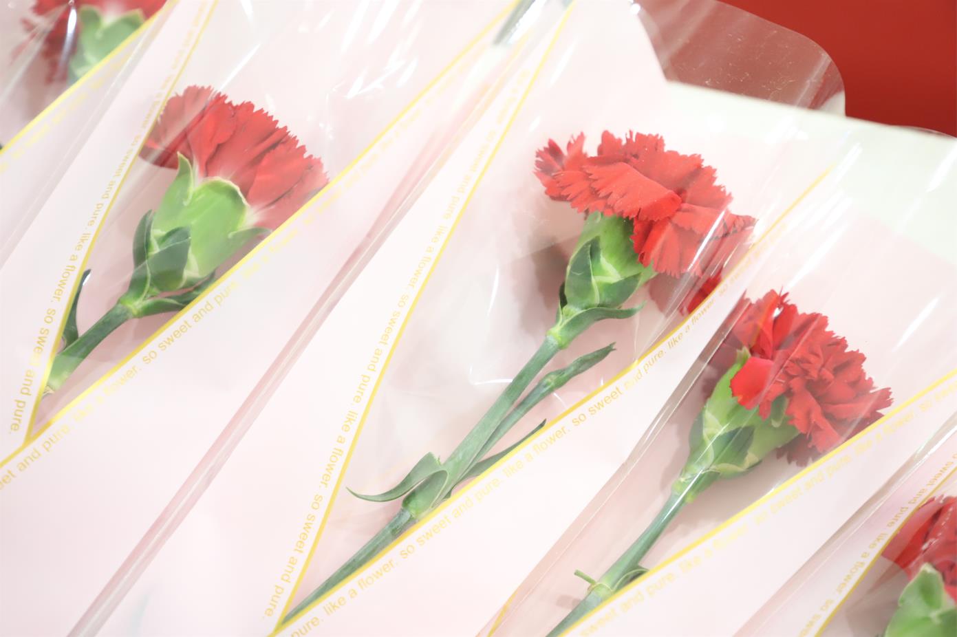 2022年350vip8888新葡的京集团股份母亲节观影活动